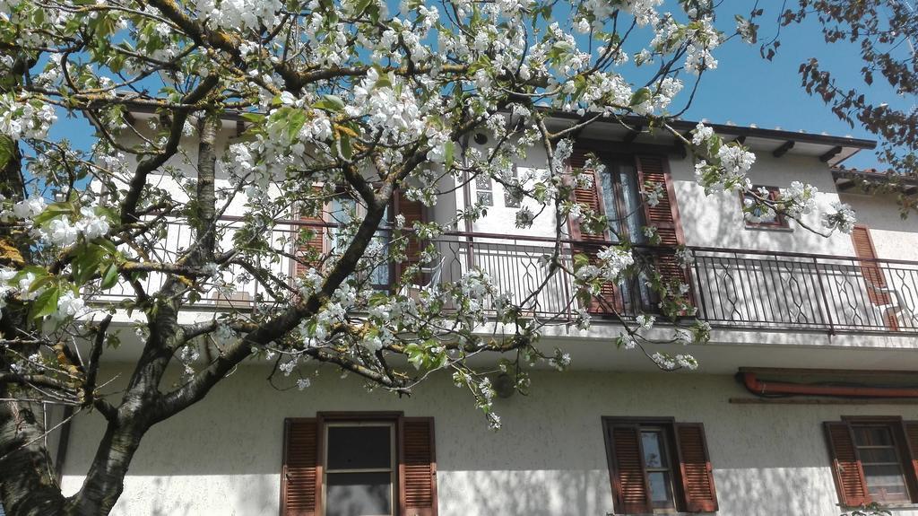 Bed And Breakfast Casale Isorella 산제미니 외부 사진
