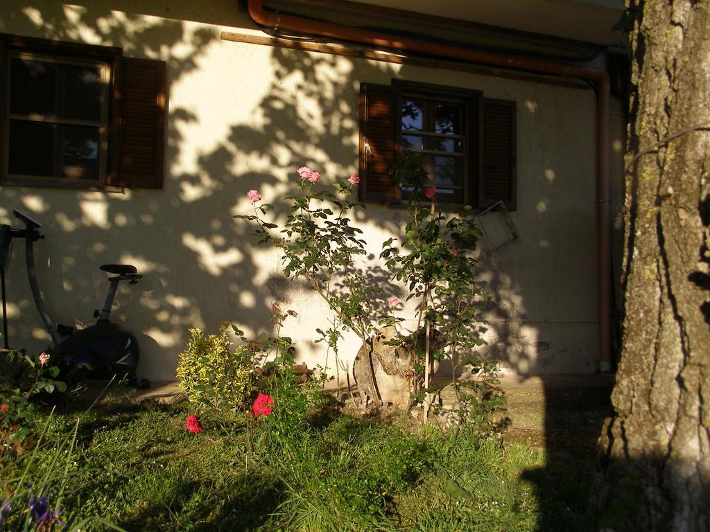 Bed And Breakfast Casale Isorella 산제미니 외부 사진