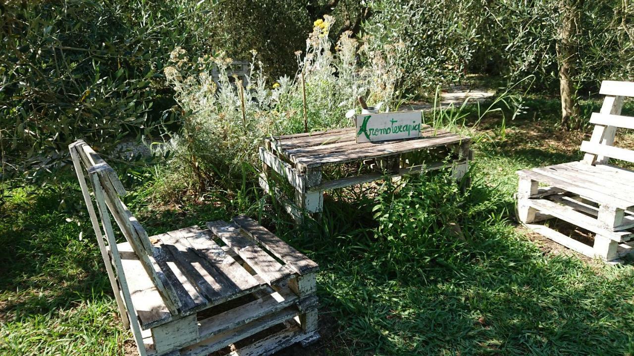 Bed And Breakfast Casale Isorella 산제미니 외부 사진
