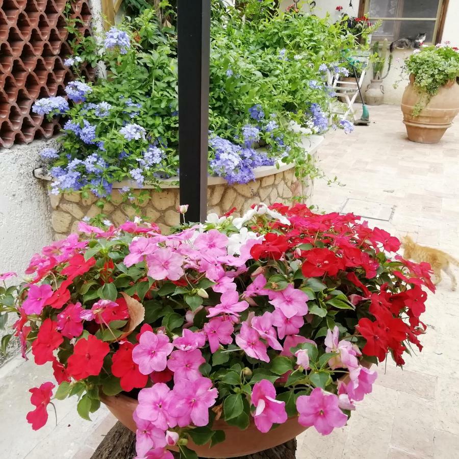 Bed And Breakfast Casale Isorella 산제미니 외부 사진